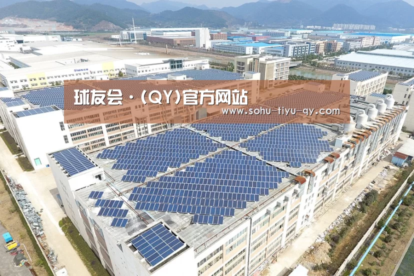 案例展示四
